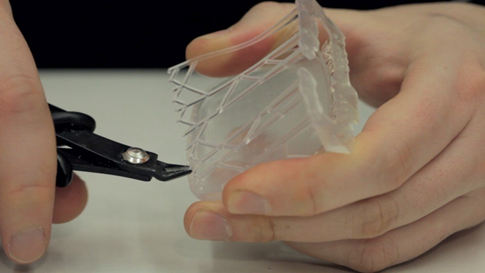 image3.jpg image3.jpg